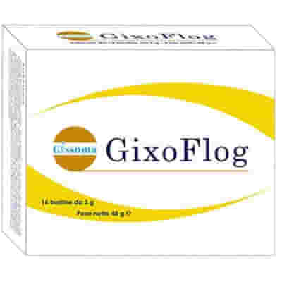 GIXOFLOG 16 BUSTINE