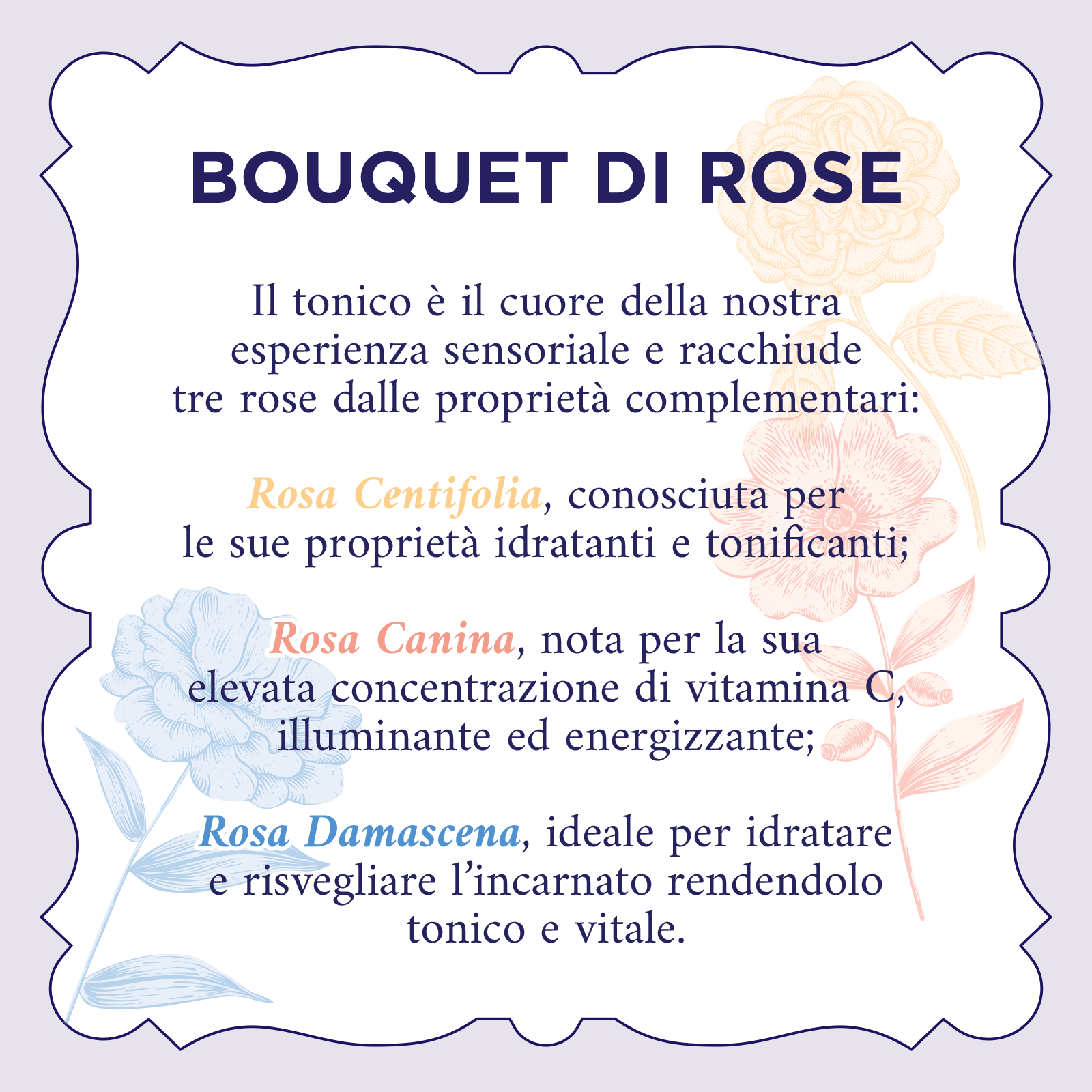 ACQUA ALLE ROSE TONICO CLASSICO 300 ML