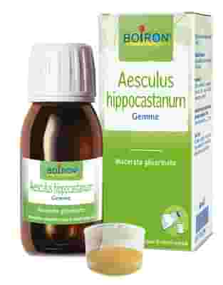 AESCULUS HIPPOCASTANUM GEMME MACERATO GLICERICO 60 ML