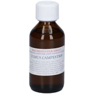 ULMUS CAMPEST GEMME MACERATO GLICERICO 100 ML