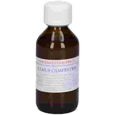 ULMUS CAMPEST GEMME MACERATO GLICERICO 100 ML