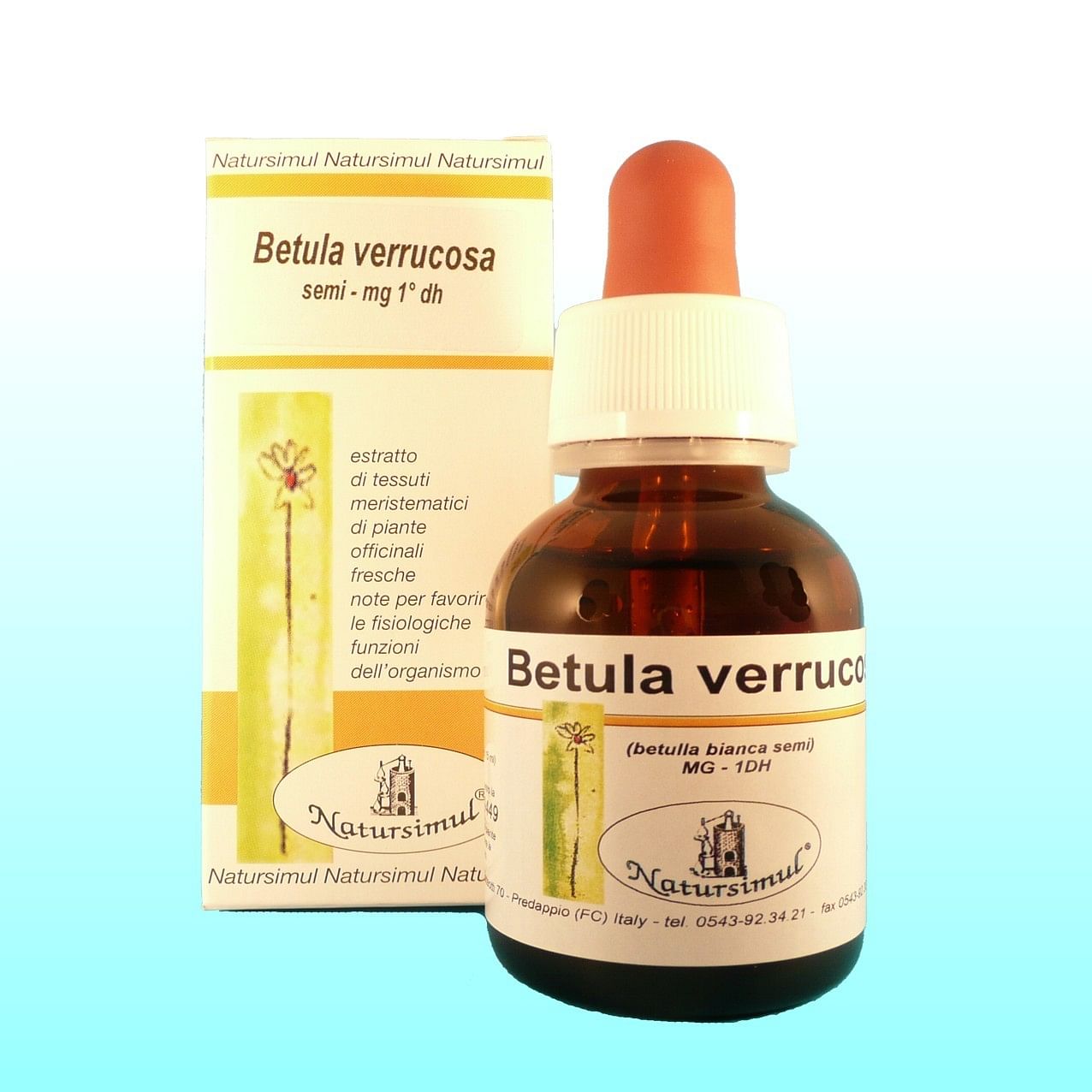 Betula Verrucosa Semi Macerato Glicerico 30 Ml