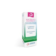 CARPINUS BETULUS GEMME MACERATO GLICERICO 30 ML
