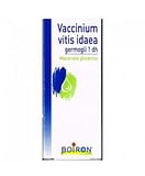 VACCINIUM VITIS IDAEA GETTI MACERATO GLICERICO 30 ML
