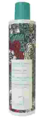 PURAVIDABIO BAGNO DOCCIA ZENZERO E VANIGLIA 250 ML