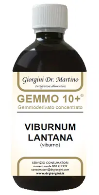 VIBURNO LIQUIDO ANALCOLICO GEMMO 10+ 500 ML VIBURNO LIQUIDO ANALCOLICO GEMMO 10+ 500 ML
