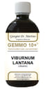 VIBURNO LIQUIDO ANALCOLICO GEMMO 10+ 500 ML