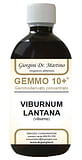 VIBURNO LIQUIDO ANALCOLICO GEMMO 10+ 500 ML