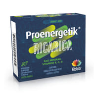 PROENERGETIK RICARICA 12 BUSTINE