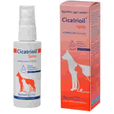 CICATRIOIL SPRAY 50 ML