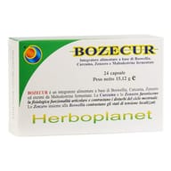 BOZECUR 24 CAPSULE