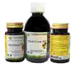 AGARICUS 50 90 MAXI CAPSULE