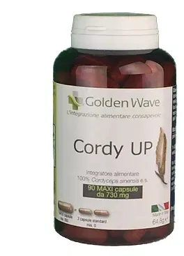 CORDY UP 90 MAXI CAPSULE CORDY UP 90 MAXI CAPSULE