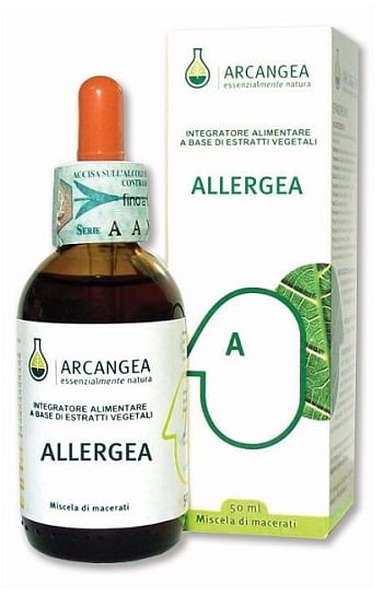 Allergea Soluzione Idroalcolica 100 Ml