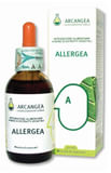 ALLERGEA SOLUZIONE IDROALCOLICA 100 ML