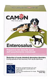 ENTEROSALUS 20 BUSTINE 2,5 G