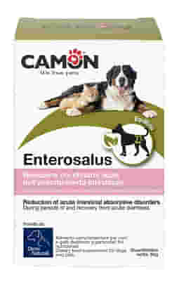 ENTEROSALUS 20 BUSTINE 2,5 G