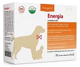 ENERGIA 20 BUSTINE DA 4 G