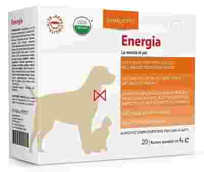 ENERGIA 20 BUSTINE DA 4 G