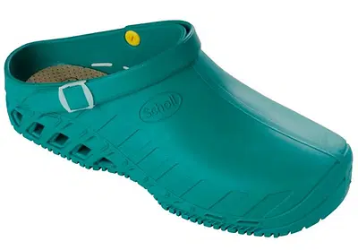 CLOG EVO TPR UNISEX EMERALD 41-42 COLLEZIONE SS17 1 PAIO CLOG EVO TPR UNISEX EMERALD 41-42 COLLEZIONE SS17 1 PAIO