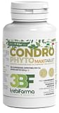 CONDROPHYTO 60 COMPRESSE 2 G