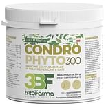 CONDROPHYTO POLVERE BARATTOLO 300 G