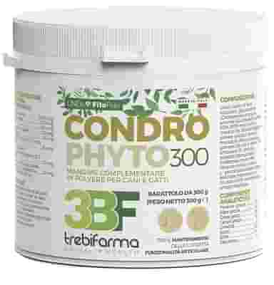 CONDROPHYTO POLVERE BARATTOLO 300 G