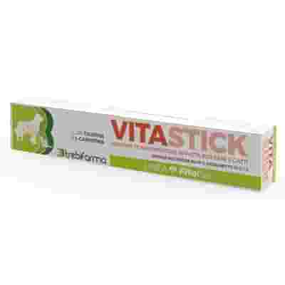 VITASTICK PASTA SIRINGA 15 G