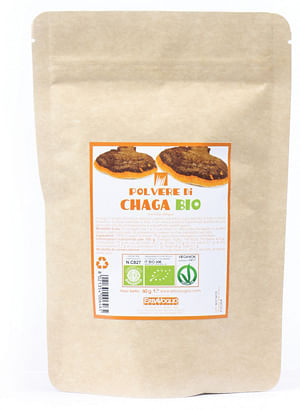 Chaga Polvere Bio 60 G