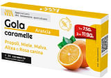SANAVITA GOLA ARANCIA 24 COMPRESSE