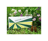 RAEMIL ANEFLOR COMPOSTO 100 ML