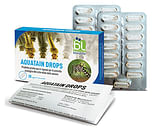 AQUATAIN DROPS 15 CAPSULE X 2 BLISTER