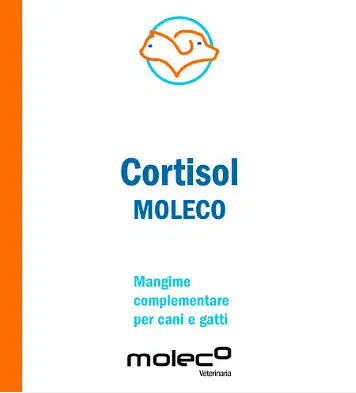 CORTISOL MOLECO 50 G CORTISOL MOLECO 50 G