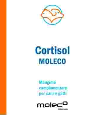CORTISOL MOLECO 50 G