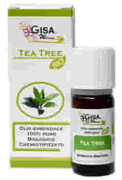 GISA TEA TREE OLIO ESSENZIALE BIO 10 ML