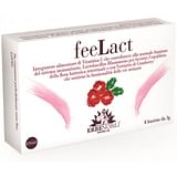 FEELACT 8 BUSTINE 24 G