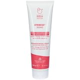 STRIBESS 300 AG CREMA DERMATOLOGICA 300 ML