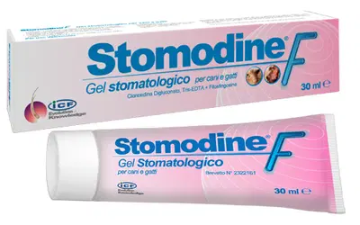 STOMODINE F 30 ML STOMODINE F 30 ML