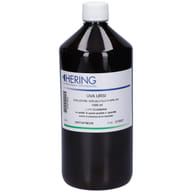 UVA URSI TINTURA MADRE 1L