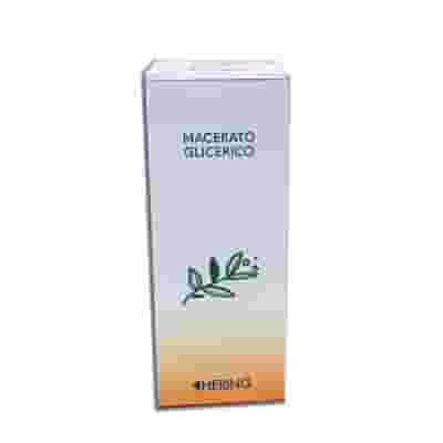 FICUS CARICA MACERATO GLICERICO 1L