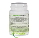 GASTRO DREMA 30 COMPRESSE 21 G