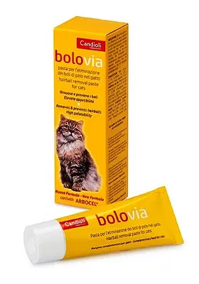 BOLO VIA PASTA GATTI TUBO 25 G BOLO VIA PASTA GATTI TUBO 25 G