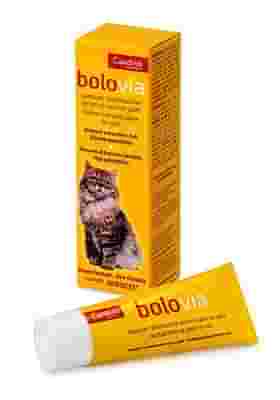 BOLO VIA PASTA GATTI TUBO 25 G