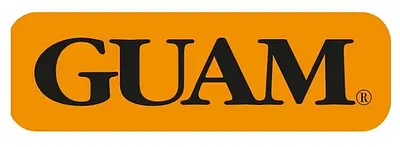 GUAM T-SHIRT SNELL ADDOME PIATTO UOMO L-XL 50-52 GUAM T-SHIRT SNELL ADDOME PIATTO UOMO L-XL 50-52