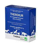 THERDIUR ACI 20 BUSTINE DA 2 G