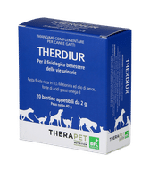 THERDIUR ACI 20 BUSTINE DA 2 G