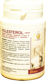 Kolesterol 40 Capsule