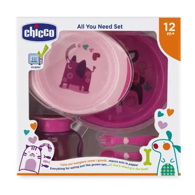 CHICCO SET PAPPA 12 MESI+ ROSA CHICCO SET PAPPA 12 MESI+ ROSA