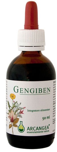 Gengiben Soluzione Idroalcolica 50 Ml