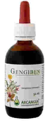 GENGIBEN SOLUZIONE IDROALCOLICA 50 ML